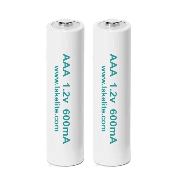 Rechargeable AAA Batteries (2 Pack)