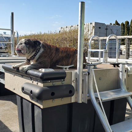 Aluminum Dog (And Human) Ladder
