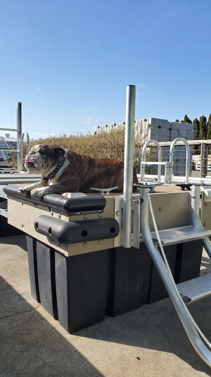 Aluminum Dog (And Human) Ladder
