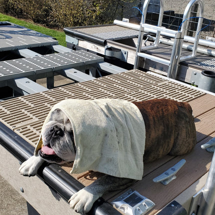 Aluminum Dog (And Human) Ladder