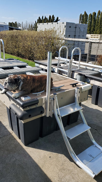 Aluminum Dog (And Human) Ladder