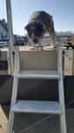 Aluminum Dog (And Human) Ladder